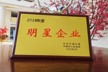 新春新景新气象 | 亿万28官网在平湖三干大会上喜摘荣誉！