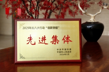策马扬鞭启新程！亿万28官网在平湖市三级干部大会上荣获“创新突破”双项荣誉
